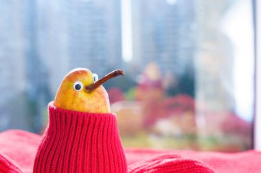 Kırmızı kazaklı şirin armut karakteri soğuk bir sonbahar gününde pencerenin kenarında güneşleniyor. Geç ısıtma mevsimi başlatma konsepti.