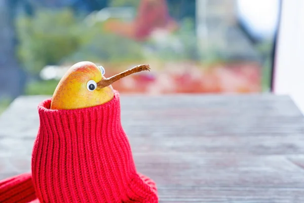 Getting ready for a cold winter: pear character wearing a knitted sweater sitting by a window.