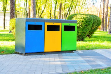 Atık toplama ve güneşli bir günde halka açık bir parkta tasnif için renkli çöp kutuları. Atık geri dönüşüm kavramı.