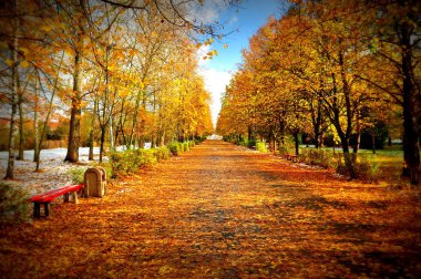 Autumn in the park clipart