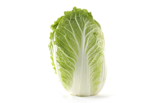 Chinese cabbage — Stock Photo, Image