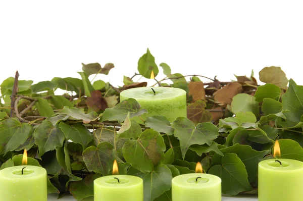 Svíčka s zeleným břečťanem — Stock fotografie