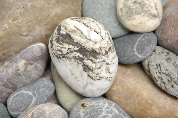 Pebble sea stone — Stock Photo, Image