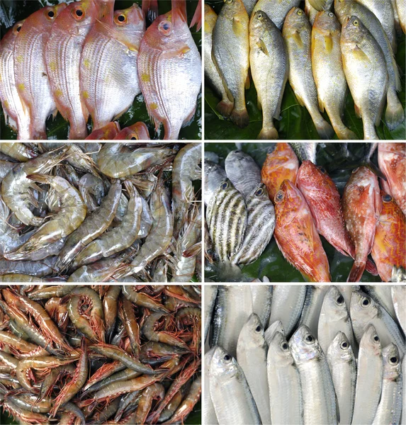 Различные морепродукты — стоковое фото