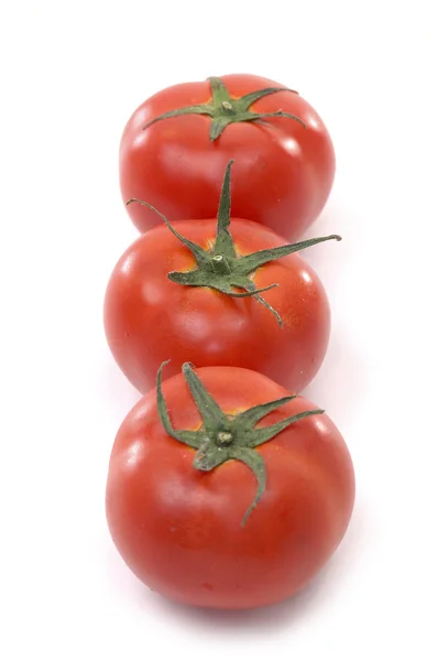 Red tomatoes — Stock Photo, Image