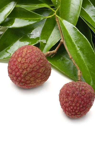 Tropical lychee — Stock Photo, Image