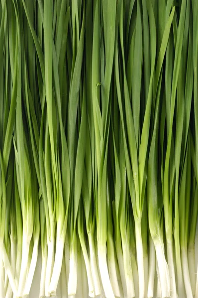 Cebollas frescas — Foto de Stock