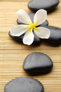spa konseptinin stok görüntü