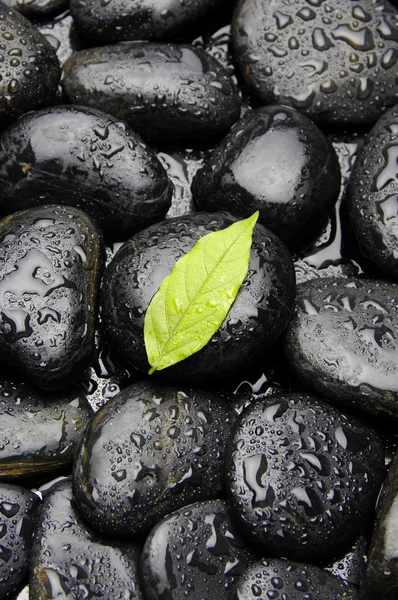 Natur bakgrund — Stockfoto