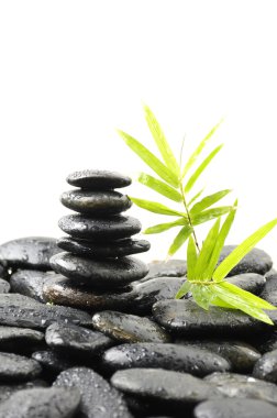 çakıl taşları ve taze bambu yaprakları