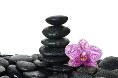 spa konsept