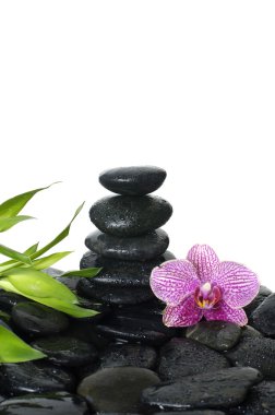 spa konsept