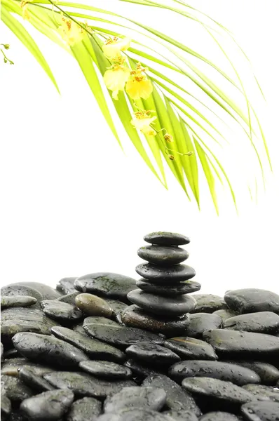 Камені терапії з бамбуком — стокове фото