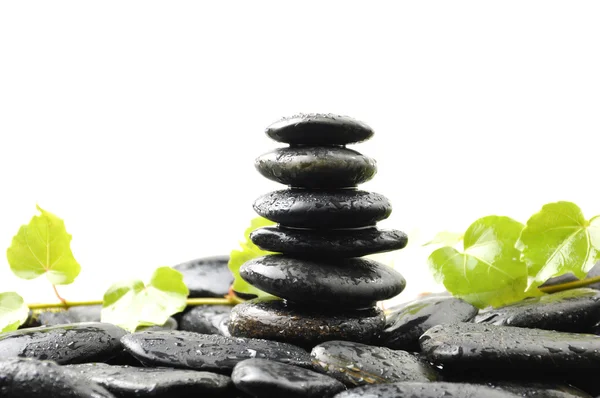 Zen stones and plant — Stock Photo, Image