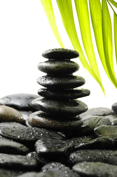 Still life with Zen stones — Stock Photo, Image