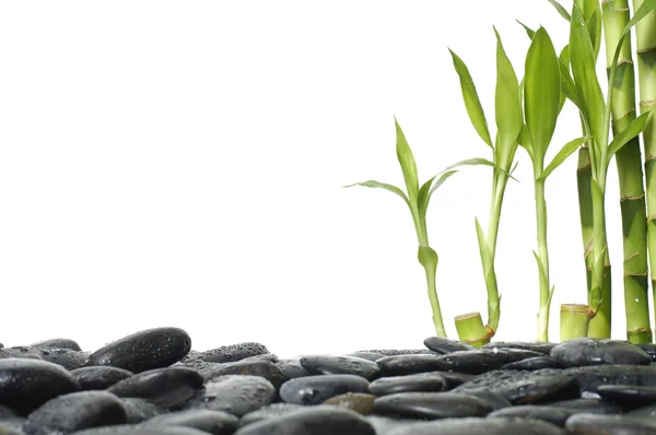 Piedras equilibradas y bambú — Foto de Stock