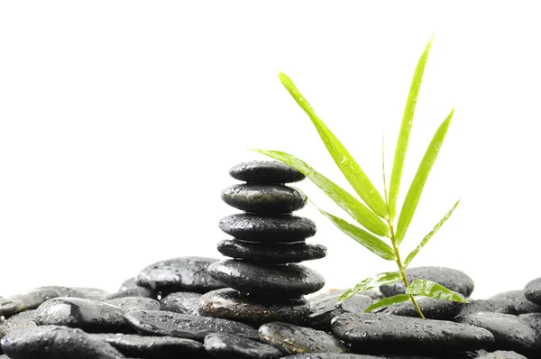 Piedras equilibradas y bambú — Foto de Stock