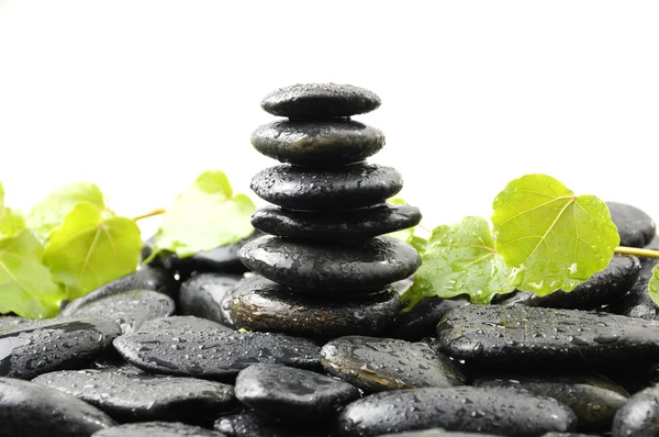 Ivy leaves on pebble — Stock Photo, Image