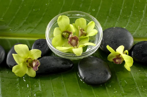 Orquídea e pedras na folha de banana — Fotografia de Stock