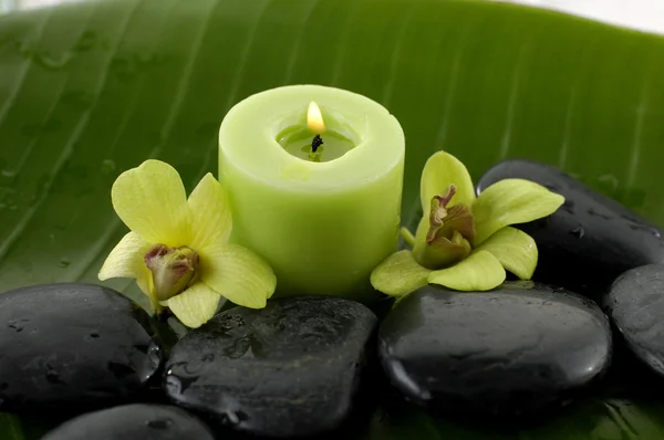 Orchid and stones on banana leaf — Stock Photo, Image