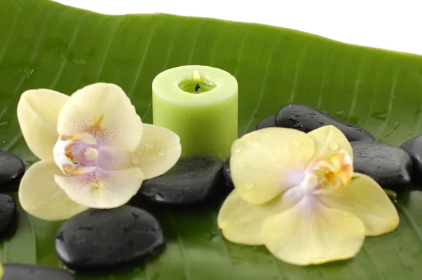 Orquídea y piedras sobre hoja de plátano —  Fotos de Stock