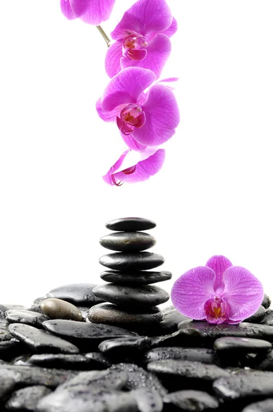 Камни для полотенец с розовой орхидеей — стоковое фото