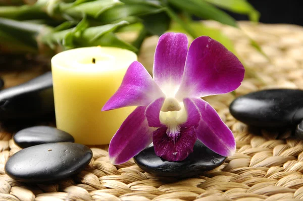 Pink orchid with stones — Stock Photo, Image