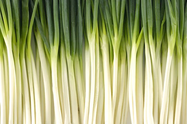 Frische Zwiebeln — Stockfoto