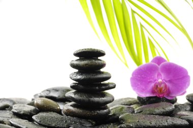 Spa ve sağlık konsepti