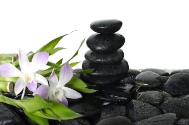 Spa kavramları