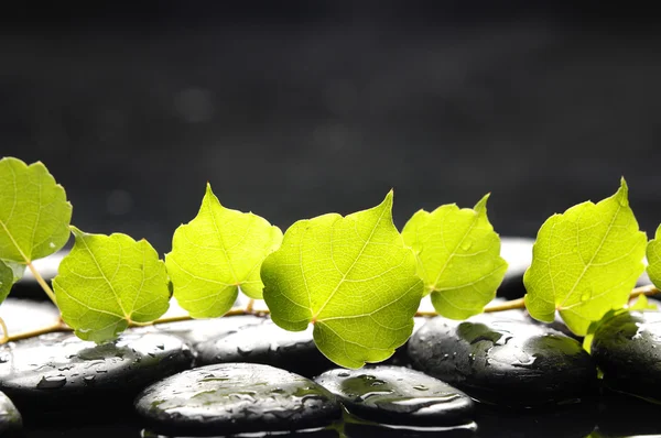 Spa naturaleza muerta — Foto de Stock