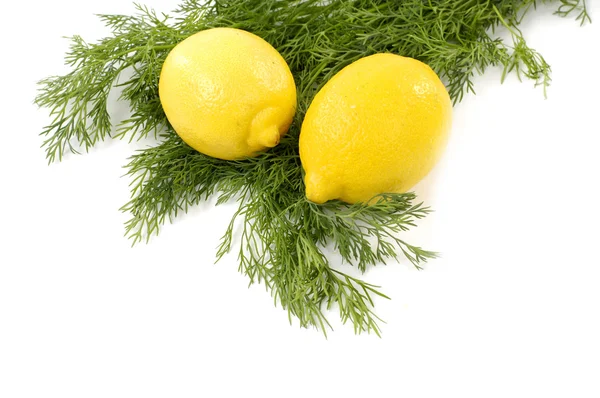 Lemon with green vegetables leaves — Stock Photo, Image