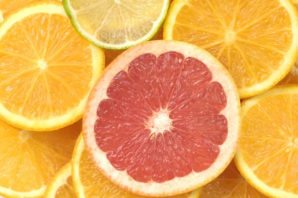 Apelsinskivor — Stockfoto