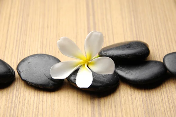 Frangipani and therapy stones — Stock Photo, Image