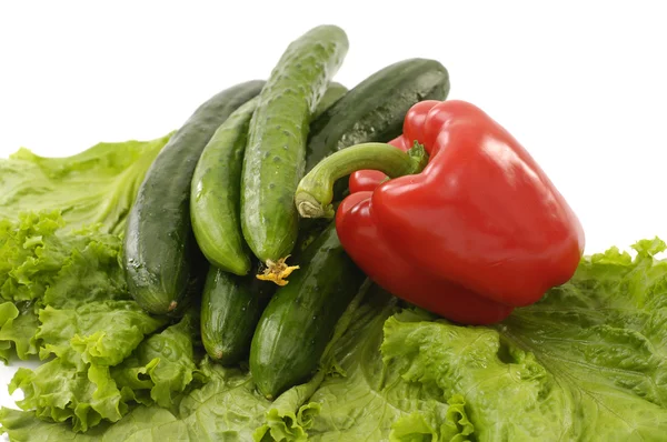 Fresh vegetable — Stock Photo, Image