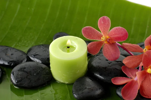 Spa de salud — Foto de Stock