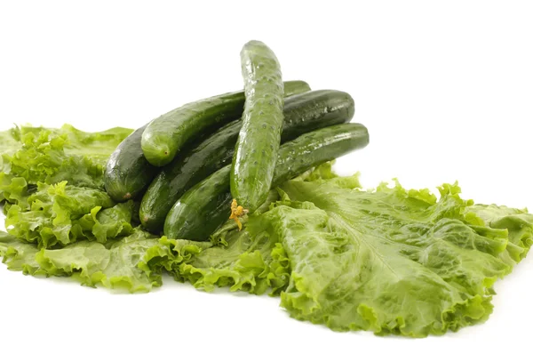 Fresh vegetable — Stock Photo, Image