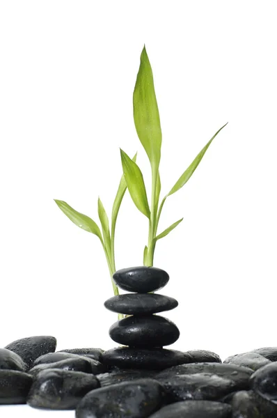 Still life with stacked stones — Stock Photo, Image