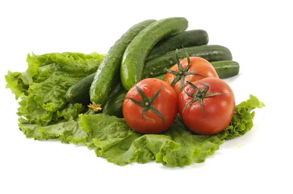 Čerstvá zelenina a červená rajčata — Stock fotografie