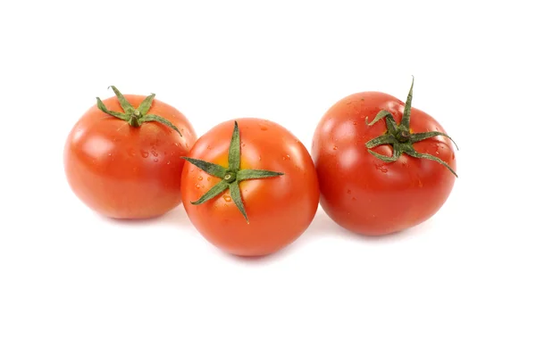 Tomatoes, — Stock Photo, Image