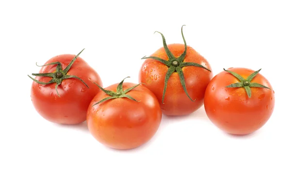 Frische Tomaten — Stockfoto