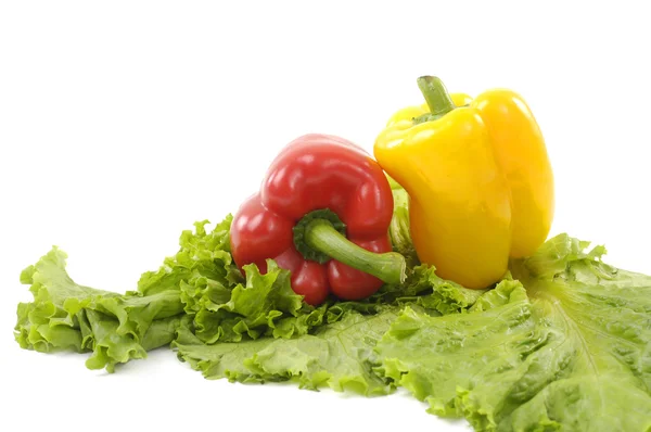 Barevné zdravá čerstvá zelenina. — Stock fotografie