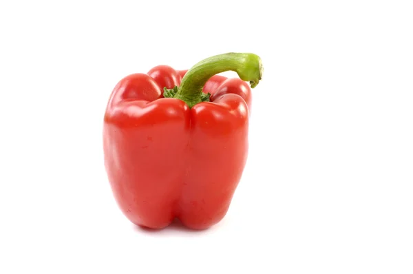 Paprika Stock Photo