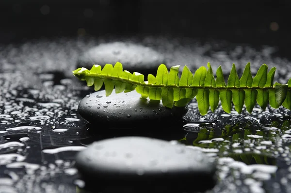 Piedras Zen y hoja verde — Foto de Stock