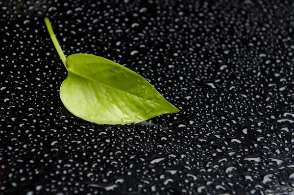 Zen kamienie i zielony liść — Zdjęcie stockowe