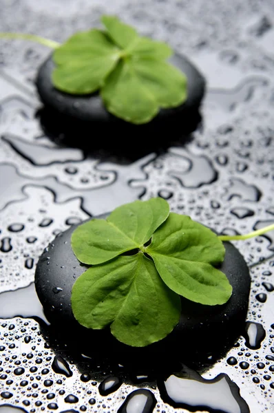 Piedra Zen y cinco hojas — Foto de Stock