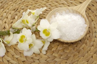 Sağlık spa