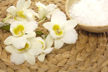 Sağlık spa ayarı