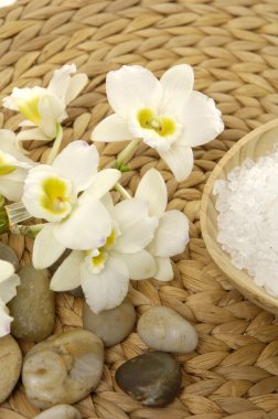 Sağlık spa ayarı