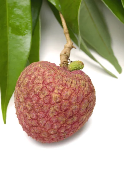 Fresh tropical lychee — Stock Photo, Image